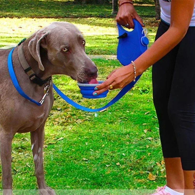 5-en-1 laisse pour chien - Parfait pour les déplacements