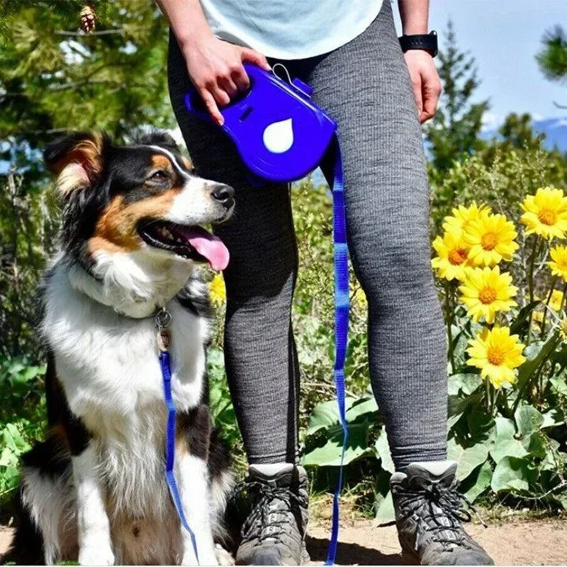 5-en-1 laisse pour chien - Parfait pour les déplacements